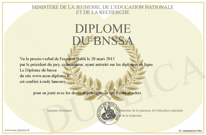diplome bnssa